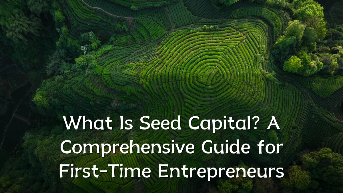 What Is Seed Capital? A Comprehensive Guide for First-Time Entrepreneurs