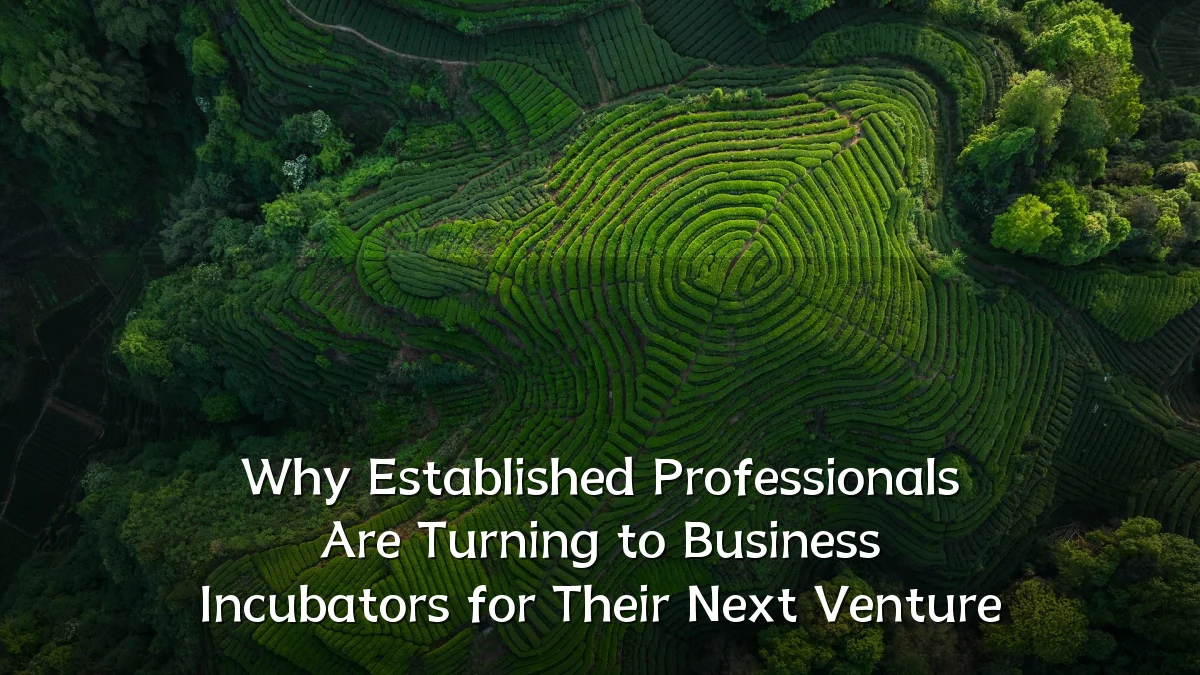 Why Established Professionals Are Turning to Business Incubators for Their Next Venture