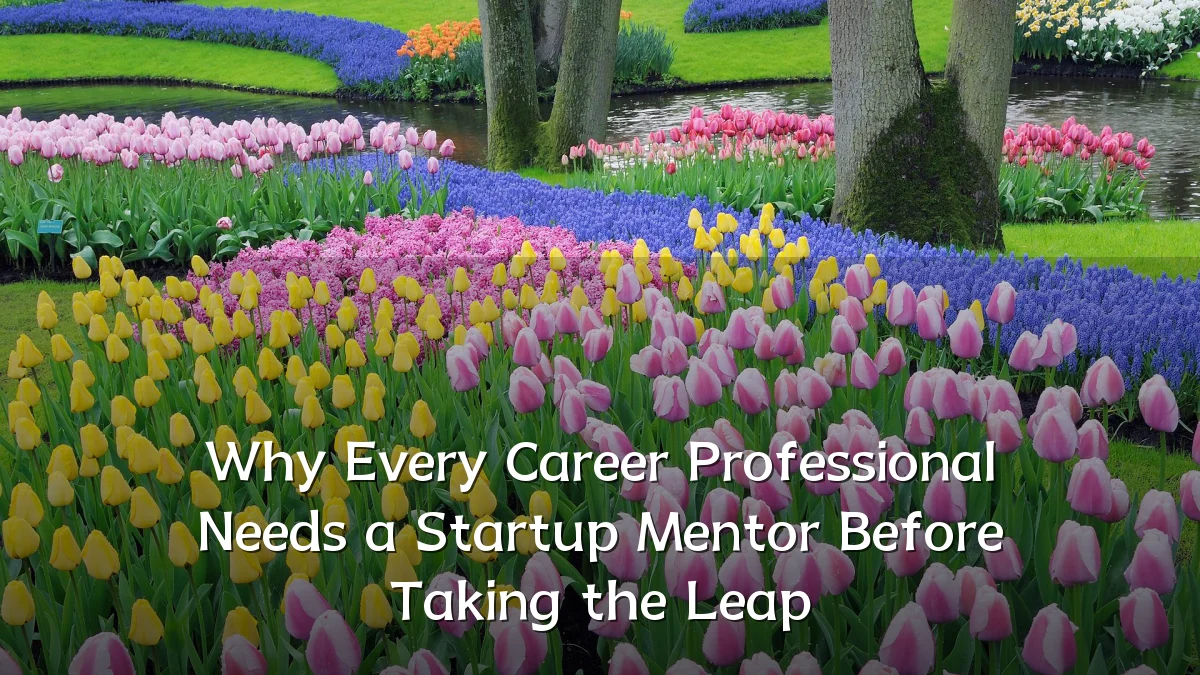 Why Every Career Professional Needs a Startup Mentor Before Taking the Leap