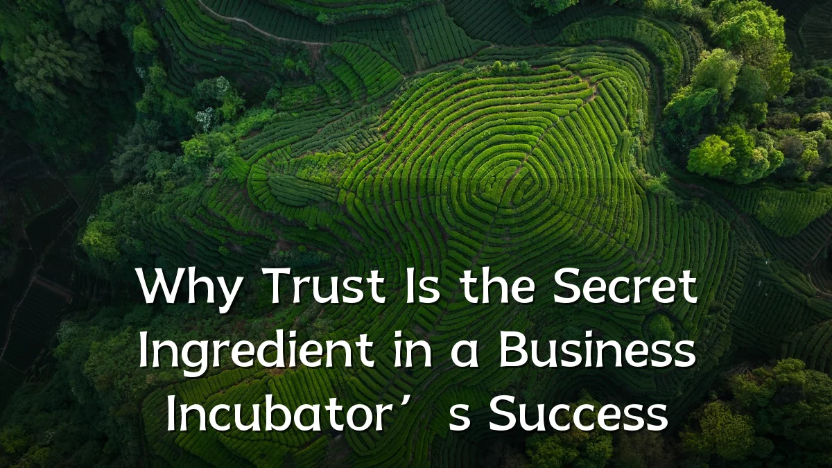 Why Trust Is the Secret Ingredient in a Business Incubator’s Success