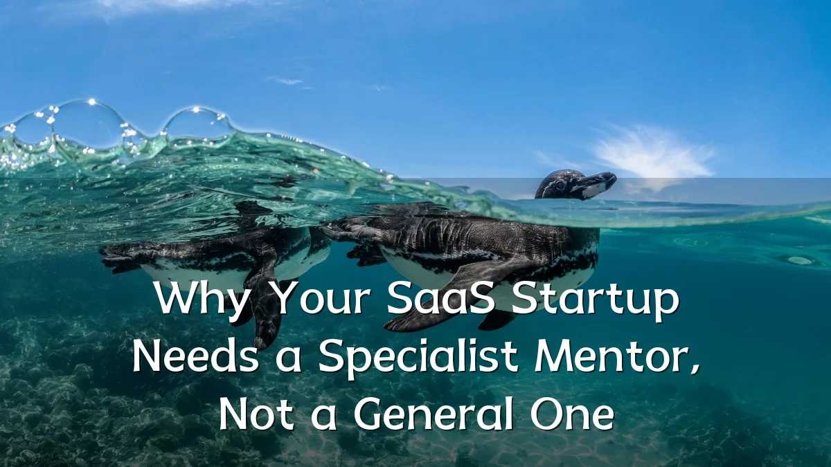 Why Your SaaS Startup Needs a Specialist Mentor, Not a General One