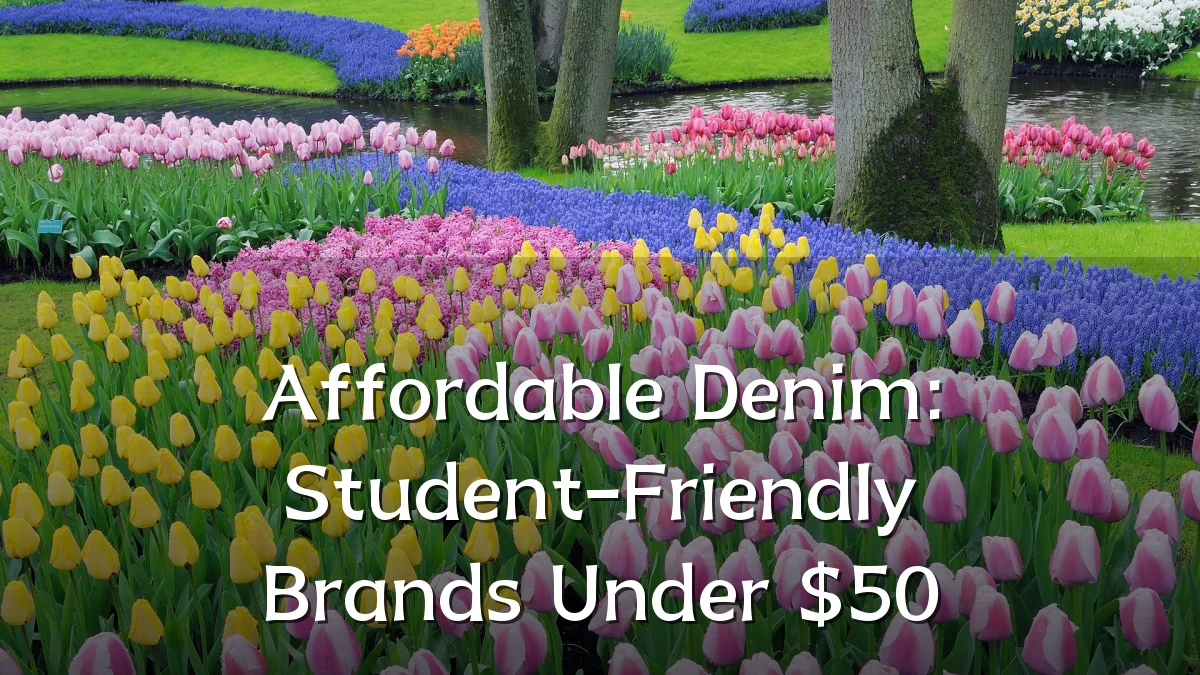 Affordable Denim: Student-Friendly Brands Under $50