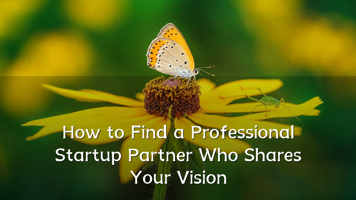 How to Find a Professional Startup Partner Who Shares Your Vision