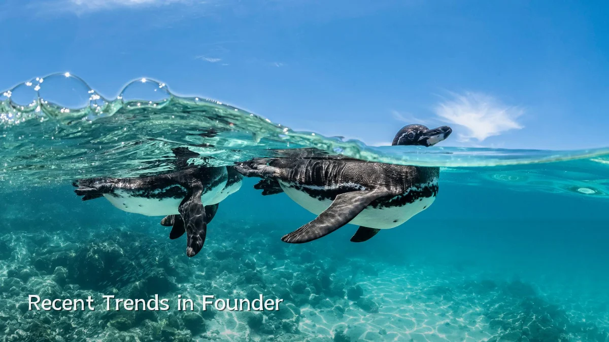Recent Trends in Founder