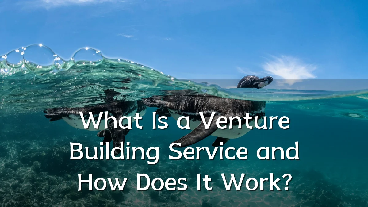 What Is a Venture Building Service and How Does It Work?