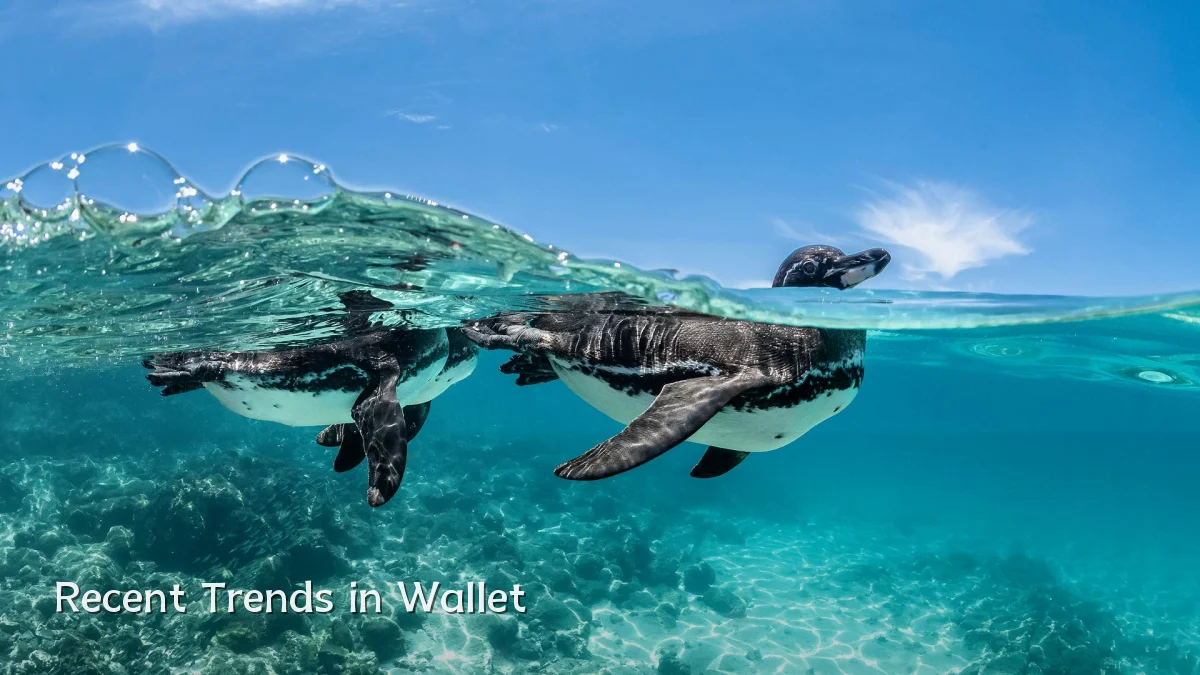 Recent Trends in Wallet