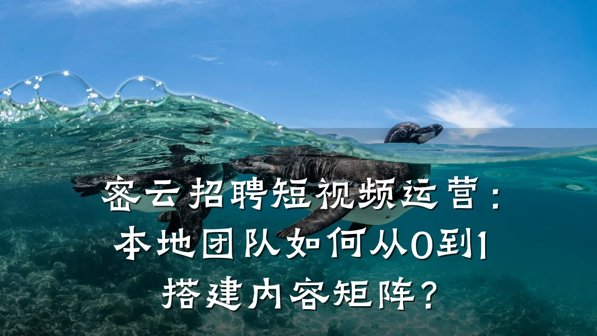 密云招聘短视频运营:本地团队如何从0到1搭建内容矩阵?
