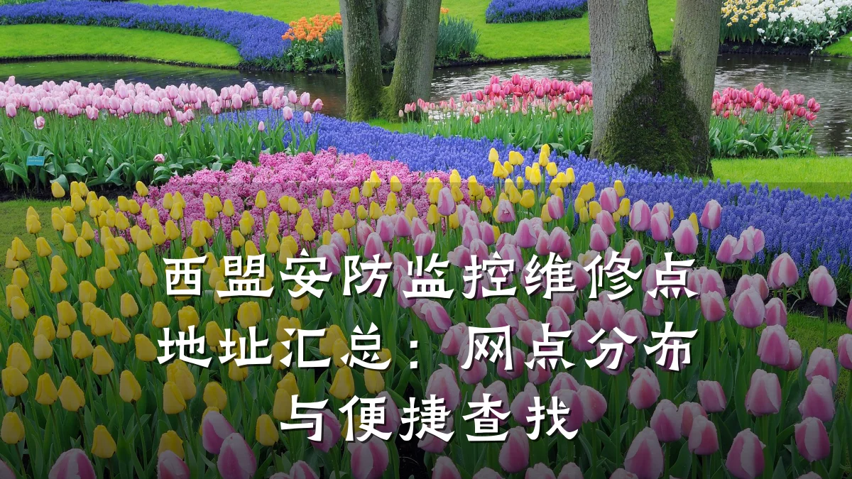 西盟安防监控维修点地址汇总:网点分布与便捷查找