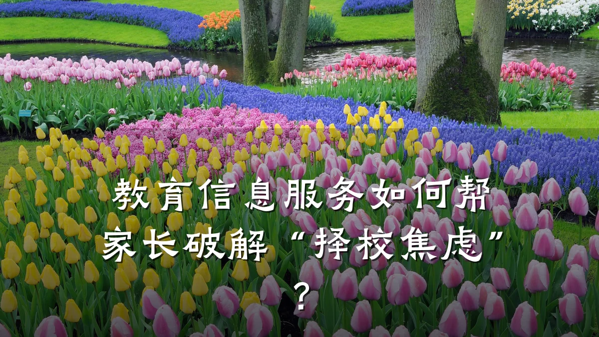 教育信息服务如何帮家长破解“择校焦虑”？